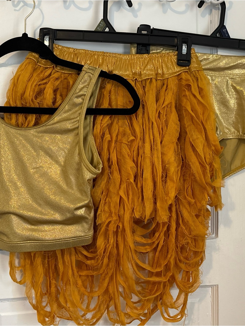 One-of-a-Kind Contemporary Dance Costume – Balera & Custom Skirt
